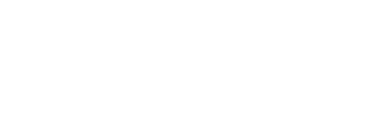 zesec logo